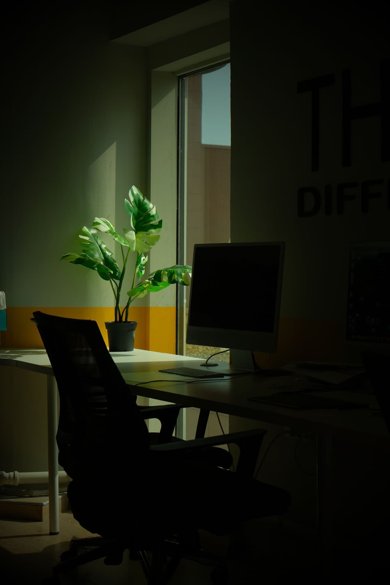 A quiet desk with a plant